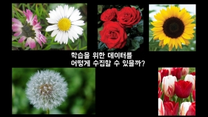 김종인, 신동석, 조영찬(팀)_꽃의 종류를 분류하는 프로그램